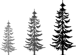 trees getting bigger